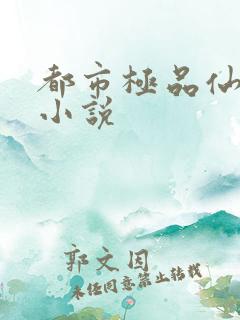 都市极品仙皇 小说