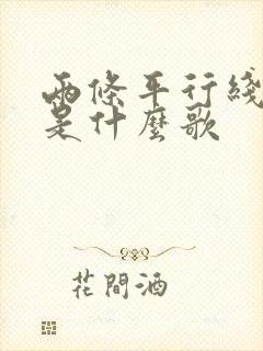 两条平行线歌词是什么歌