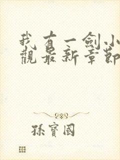 我有一剑小说叶观最新章节