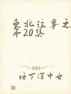 东北往事之二十年20集