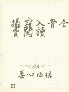 摄宠入骨全文免费阅读