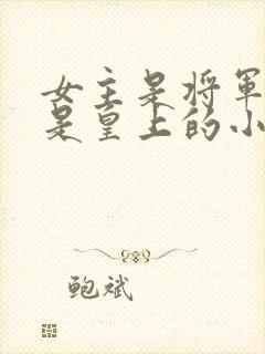 女主是将军男主是皇上的小说