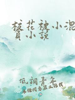 校花被小混混欺负小说