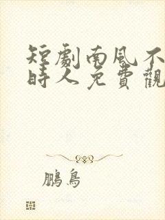 短剧南风不识旧时人免费观看