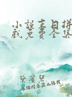 小说末日拼图游戏免费全集