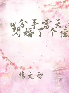 w分手当天,我闪婚了个亿万富翁》
