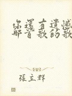 你还有遗憾吗是哪首歌的歌词