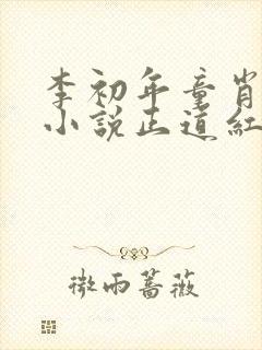 李初年童肖媛的小说正道红途