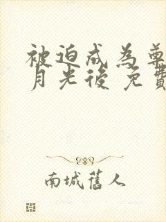 被迫成为尊上白月光后 免费阅读