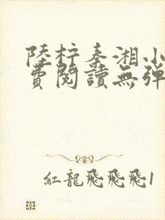 陆柠秦湘小说免费阅读无弹窗