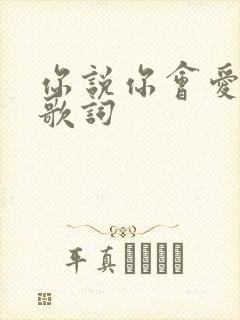 你说你会爱着我歌词