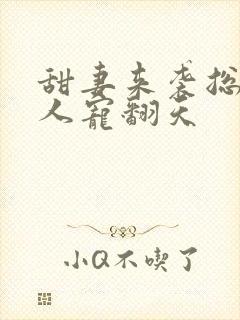 甜妻来袭总裁大人宠翻天