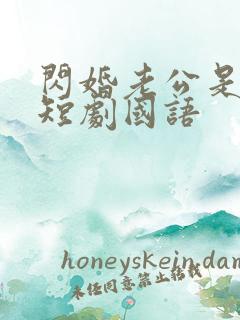 闪婚老公是豪门短剧国语