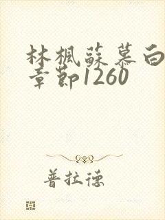 林枫苏慕白最新章节1260