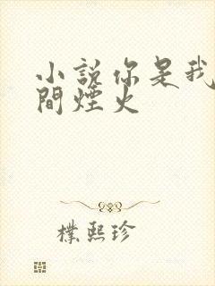 小说你是我的人间烟火