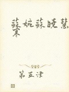 苏婉苏晓慧霍枭寒