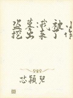 盗墓:我被小哥挖出来了作者:盗墓大师