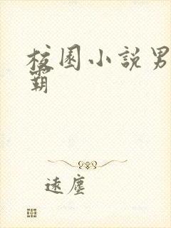 校园小说男主校霸