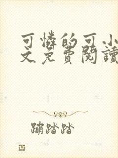 可怜的可小说全文免费阅读