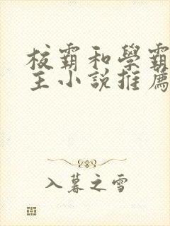 校霸和学霸双男主小说推荐