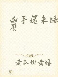 凶手还未睡有漏么