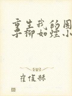 重生我的团长妻子柳如烟小说