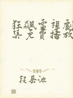 狂飙电视剧40集免费播放