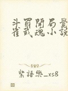 斗罗开局觉醒朱雀武魂小说