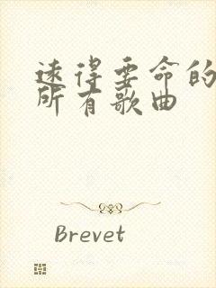 远得要命的爱情所有歌曲