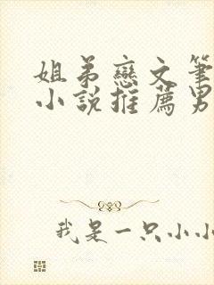 姐弟恋文笔好的小说推荐男主腹黑