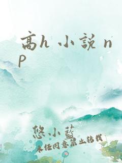 高h 小说 np