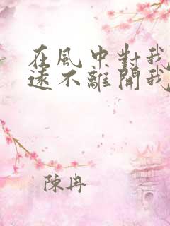 在风中对我说永远不离开我是什么歌