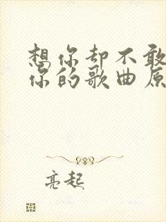 想你却不敢联系你的歌曲原唱