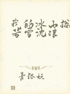 我的冰山总裁苏若雪沈浪