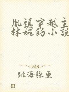 胤禛穿越主角叫林婉的小说