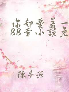 你却爱着一个他88章小说免费阅读