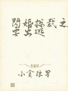 闪婚总裁之甜妻要出逃