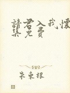 请君入我怀34集免费