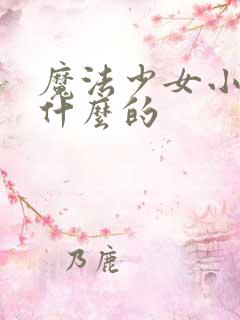 魔法少女小圆讲什么的