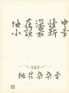 他在深情中陨落小说最新章节