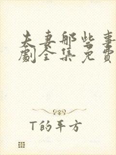 夫妻那些事电视剧全集免费观看