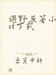 过野原著小说txt下载