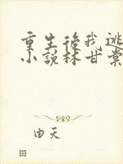 重生后我逃婚了小说林甘棠免费阅读