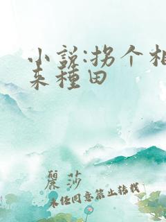 小说:拐个相公来种田