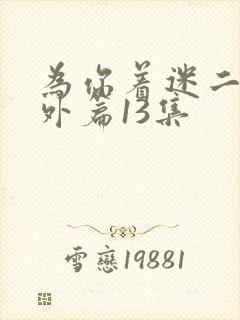 为你着迷二季番外篇13集