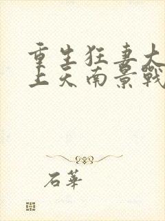 重生狂妻大佬宠上天南景战北庭