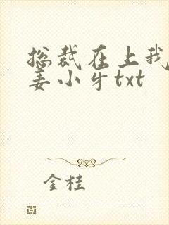 总裁在上我在下姜小牙txt