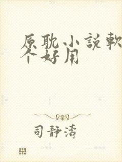 原耽小说软件哪个好用