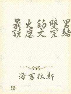 最火的双男主小说虐文完结受推文