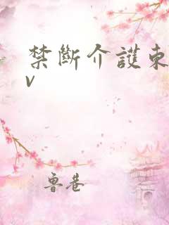 禁断介护东凛av